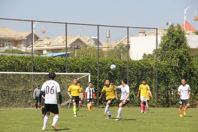6686体育官网首页展示图